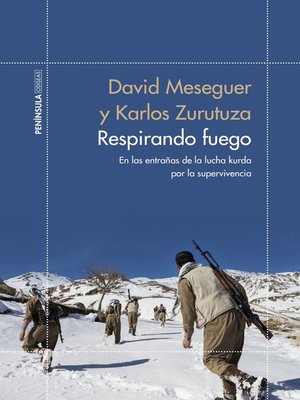 cover image of Respirando fuego